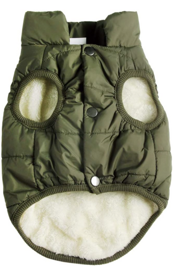 JoyDaog 2 Layers Fleece Lined Warm Dog Jacket for Puppy Winter Cold Weather,Soft Windproof Small Dog Coat,Green M